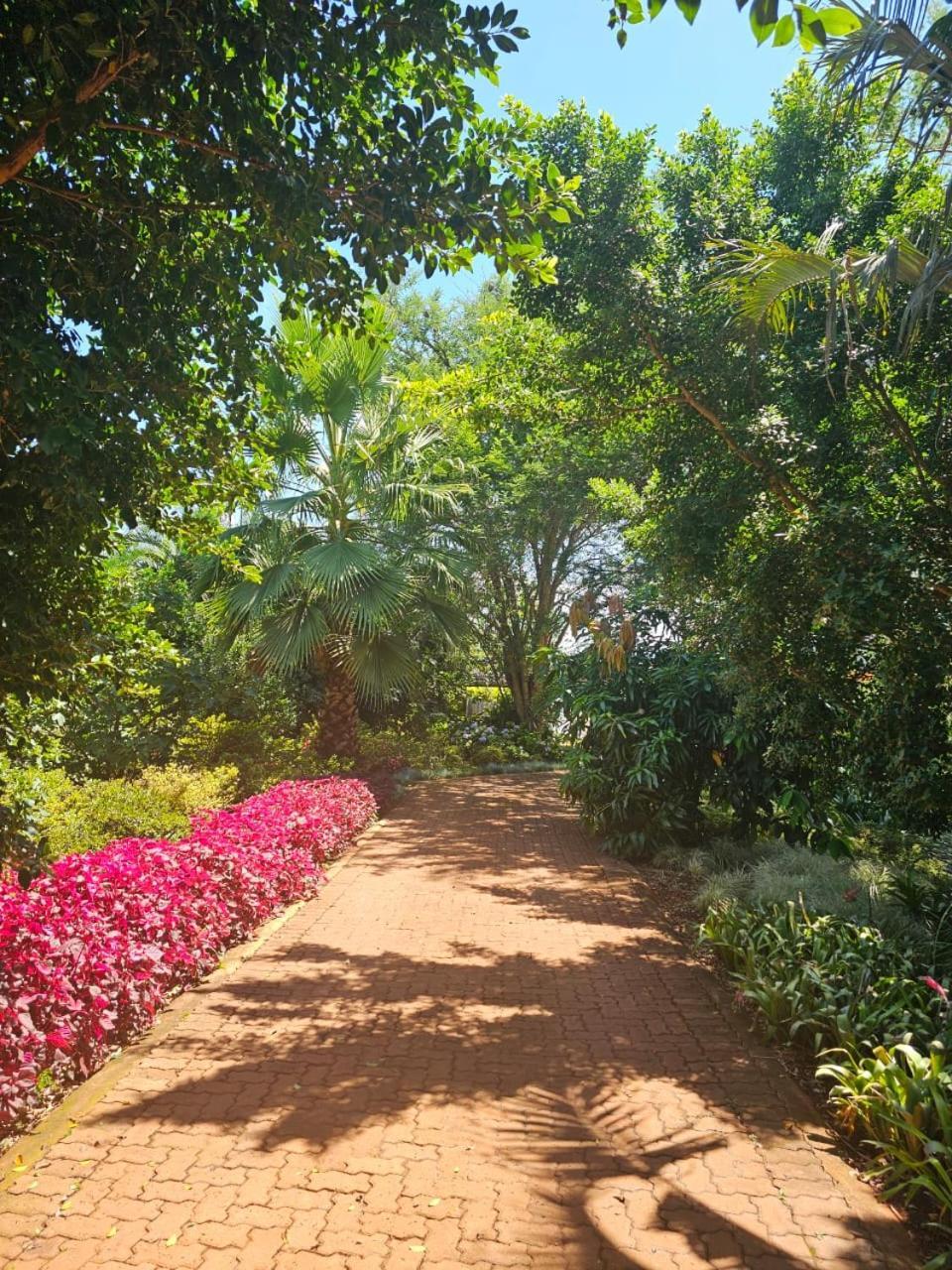 Tzaneen White House Lodge Eksteriør billede