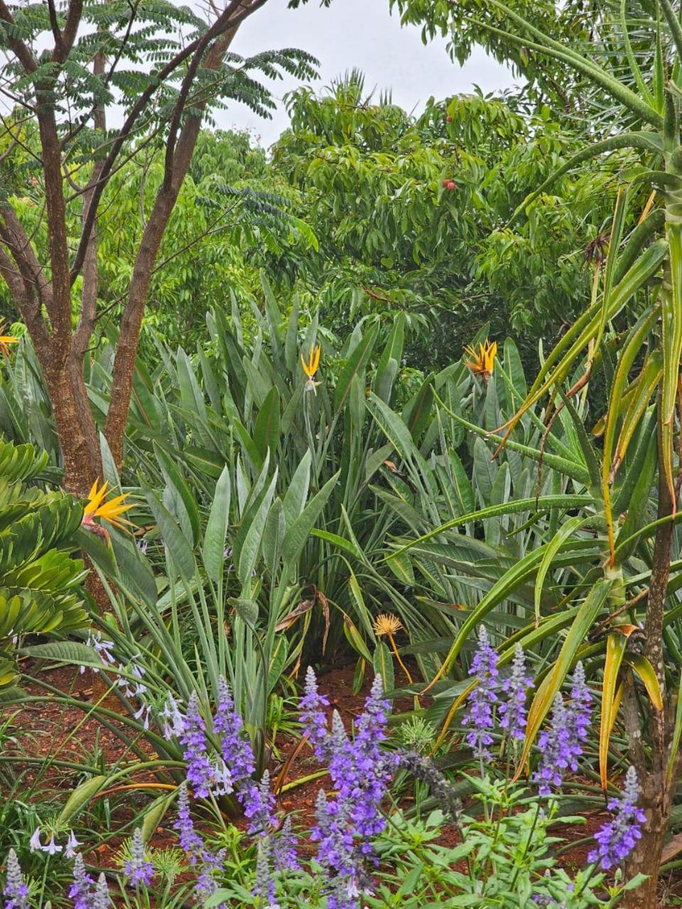 Tzaneen White House Lodge Eksteriør billede