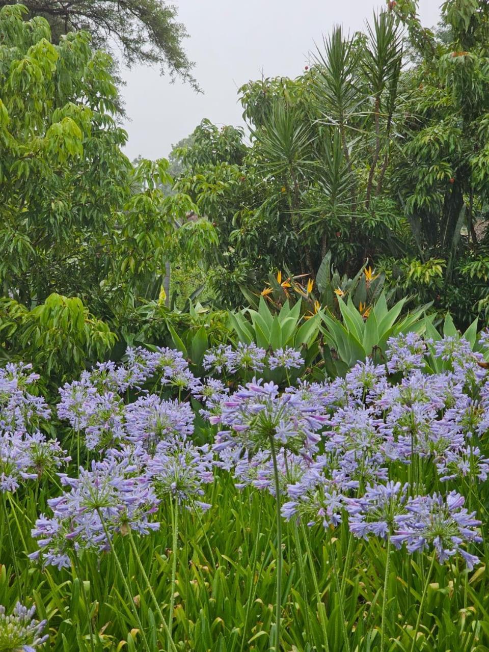 Tzaneen White House Lodge Eksteriør billede
